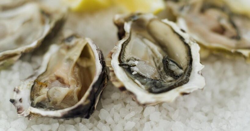 oysters to increase the potency of males